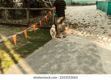 A man with a dog standing near a sandy path, bordered by orange flags and greenery in a coastal or park setting.  - Powered by Shutterstock