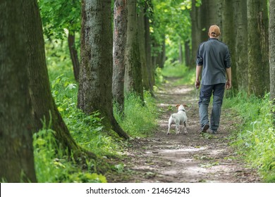 Man And Dog Walking On Park