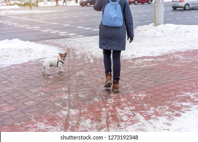 man with a dog walks on a slippery sidewalk in winter near the road, sand and salt sprinkled