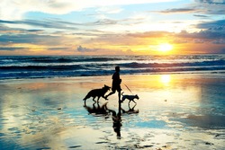 Man With A Dogs Running On The Beach At Sunset. Bali Island, Indonesia