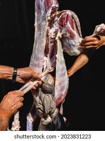 Man Doing Halal Lamb Slaughter, Slaughter Process