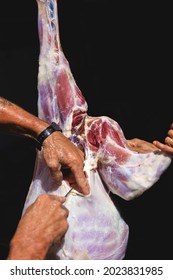 Man Doing Halal Lamb Slaughter, Slaughter Process