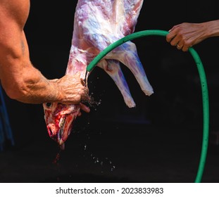 Man Doing Halal Lamb Slaughter, Slaughter Process