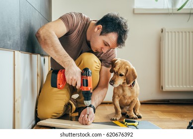 Man doing renovation work at home together with his small yellow dog - Shutterstock ID 620676392