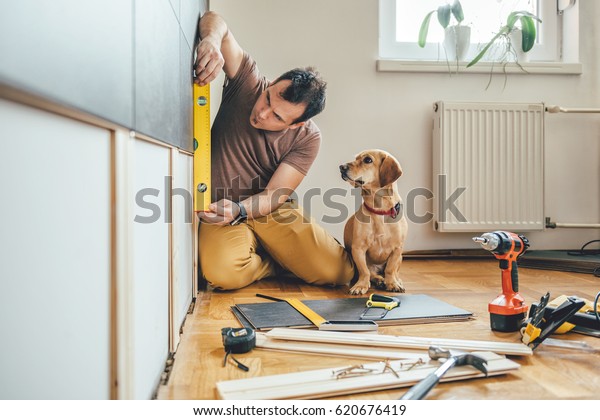 Man doing renovation work at home together with his\
small yellow dog