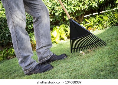 A Man Doing Some Garden Work