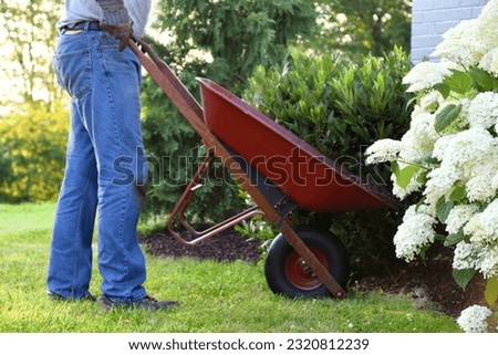 Man doing yard work chores by spreading mulch around landscape bushes from a wheelbarrow