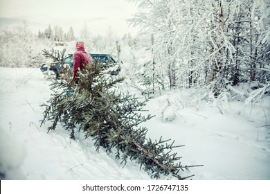 612 Drag christmas tree Images, Stock Photos & Vectors | Shutterstock