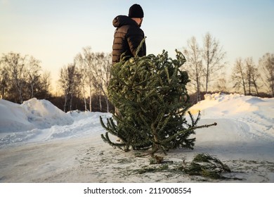 612 Drag christmas tree Images, Stock Photos & Vectors | Shutterstock