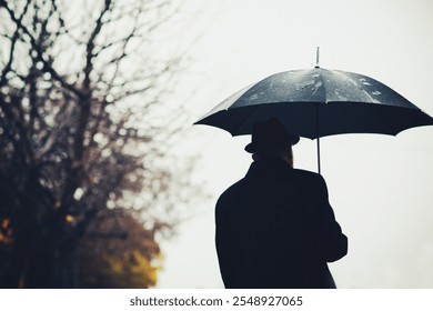 A man dressed in a dark coat and hat walks alone under a black umbrella. Raindrops fall gently while trees with bare branches surround him, signaling a cool, overcast autumn day. - Powered by Shutterstock