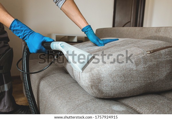 Man dry
cleaner's employee hand in protective rubber glove cleaning sofa
with professionally extraction method. Early spring regular
cleanup. Commercial cleaning company
concept