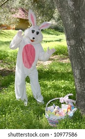 Man In A Easter Bunny Costume