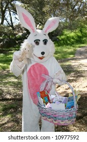 Man In A Easter Bunny Costume