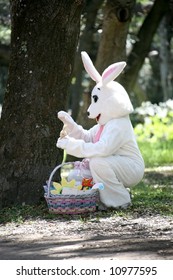 Man In A Easter Bunny Costume