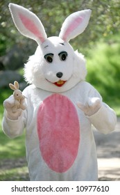 Man In A Easter Bunny Costume