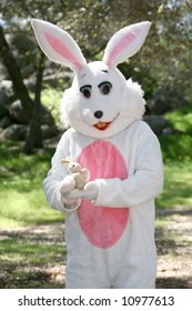 Man In A Easter Bunny Costume