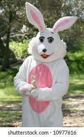 Man In A Easter Bunny Costume