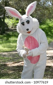 Man In A Easter Bunny Costume