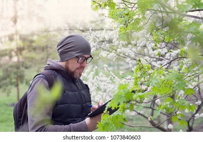 Man Ecologist Conducts Research During The Flowering Of Trees. Ecological Investigation Of The Environment. Agronomist - Breeder In The Garden.