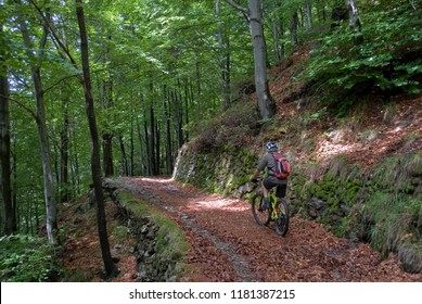 man with an electric bicycle, e-bike, ebike, mtb, high mountains, riding on a dirt road in the forest, summer, sport, adventure, freedom, alps, Mount Legnone, Como Lake, Lombardy, Italy