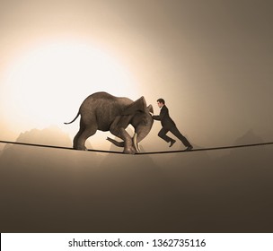 Man and an elephant pushing eachother and balacing on a rope at high altitude.