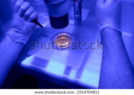 Man embryologist removing one cell from a developing embryo