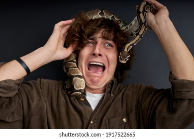 Man Emotionally Screams, With Snake On His Head, He Is Afraid Of Exotic Unusual Animals From Wild Nature