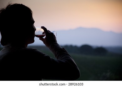 man enjoying wine and looking beautiful view of vineyard