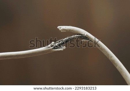 A man examines an electrical wire with damaged insulation. Close-up.