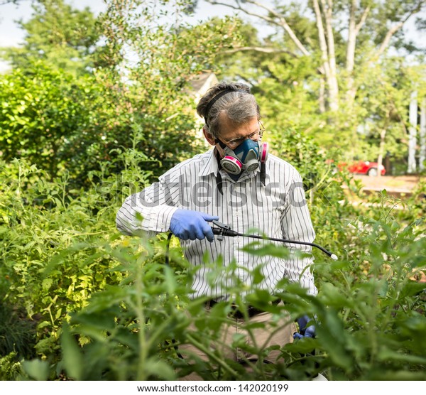 Download Man Face Mask Gloves Spraying Insecticide Stock Photo Edit Now 142020199 PSD Mockup Templates