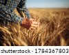 farmer wheat