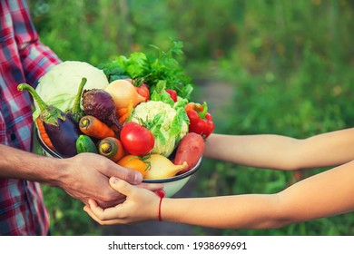 A man farmer and a child are holding a harvest of vegetables in their hands. Selective focus. nature. - Powered by Shutterstock