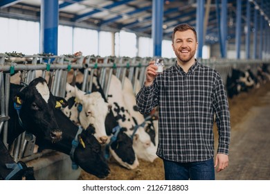 Man Farmer At Cowshed Drinking Milk