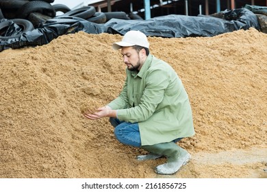 Man farmer crouched down near big pile of beer bagasse, natural cattle feed, checking quality of forage