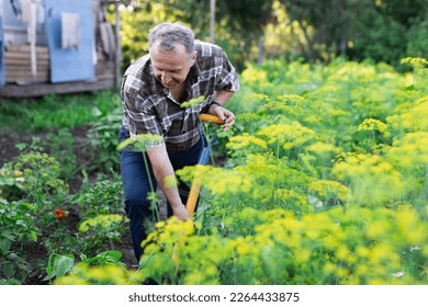 man farmer digging in his estate garden - Powered by Shutterstock