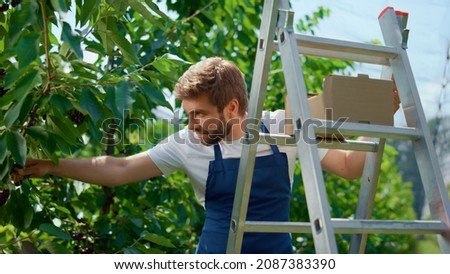 Similar – Image, Stock Photo Hardworking workers