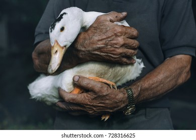 Man farmer holds goose, eco friendly farm , market place, eat healthy consept