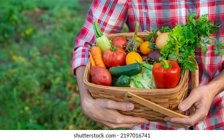 A man farmer holds a harvest of vegetables in his hands. Selective focus. nature. - Shutterstock ID 2197016741
