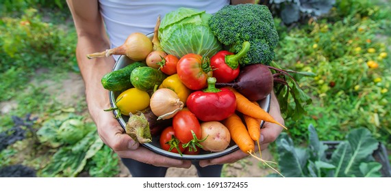 Man farmer with homemade vegetables in his hands. Selective focus. nature. - Shutterstock ID 1691372455