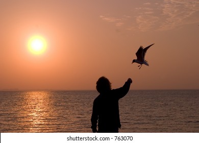 man feed bird at sunset - Powered by Shutterstock