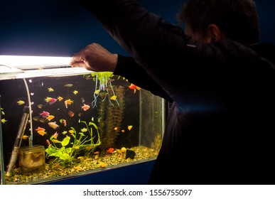 A Man Feeding Aquarium Fish