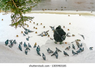 A Man Is Feeding Doves And Ducks On The Frozen River Bank In A Small Old Town In Winter