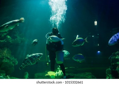 Man Feeding Fish In Aquarium