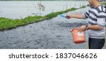 A Man feeding fish in Thailand