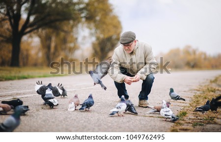 Man feeding pigeons in the old town. Happy pensioner.
