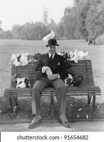 Man Feeding Pigeons On Park Bench