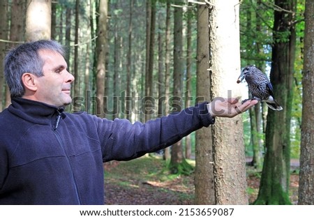 A man feeds a pine jay in the forest
