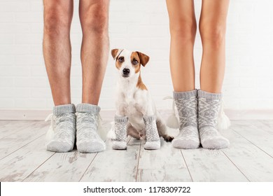 Man, female and dog in socks. Warm clothing family home - Powered by Shutterstock