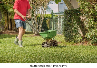 Man Fertilizing And Seeding Residential Lawn With Manual Grass Seed Spreader.