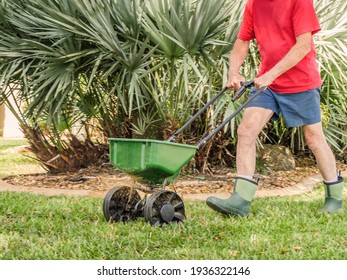 Man Fertilizing And Seeding Residential Lawn With Manual Grass Seed Spreader.